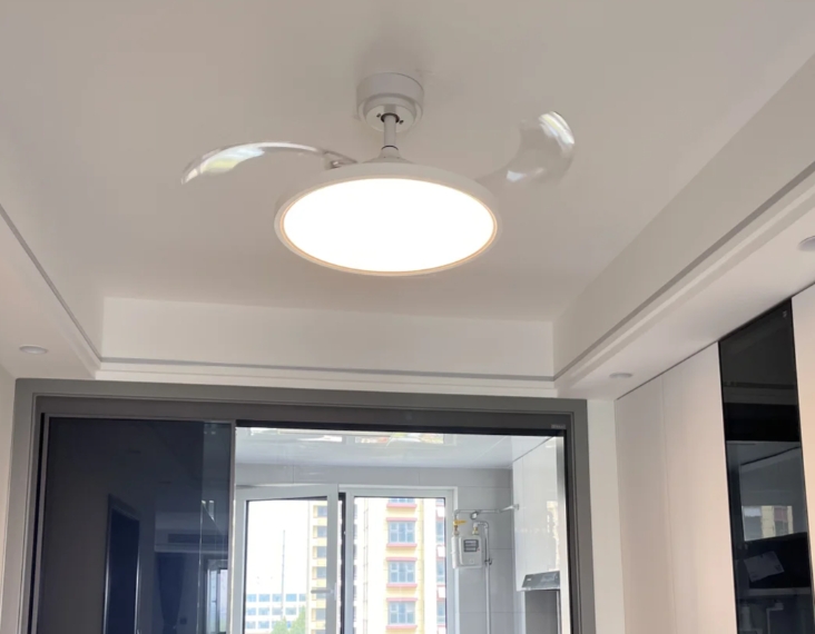 smart ceiling fan with light