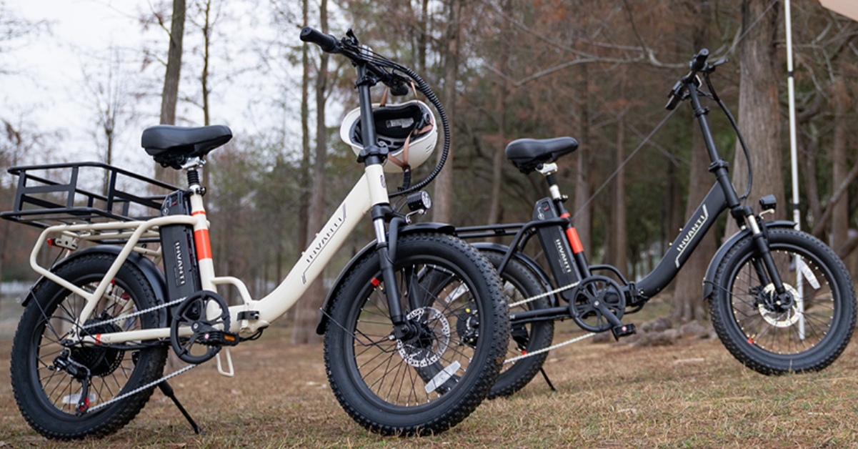 ebike hollandrad