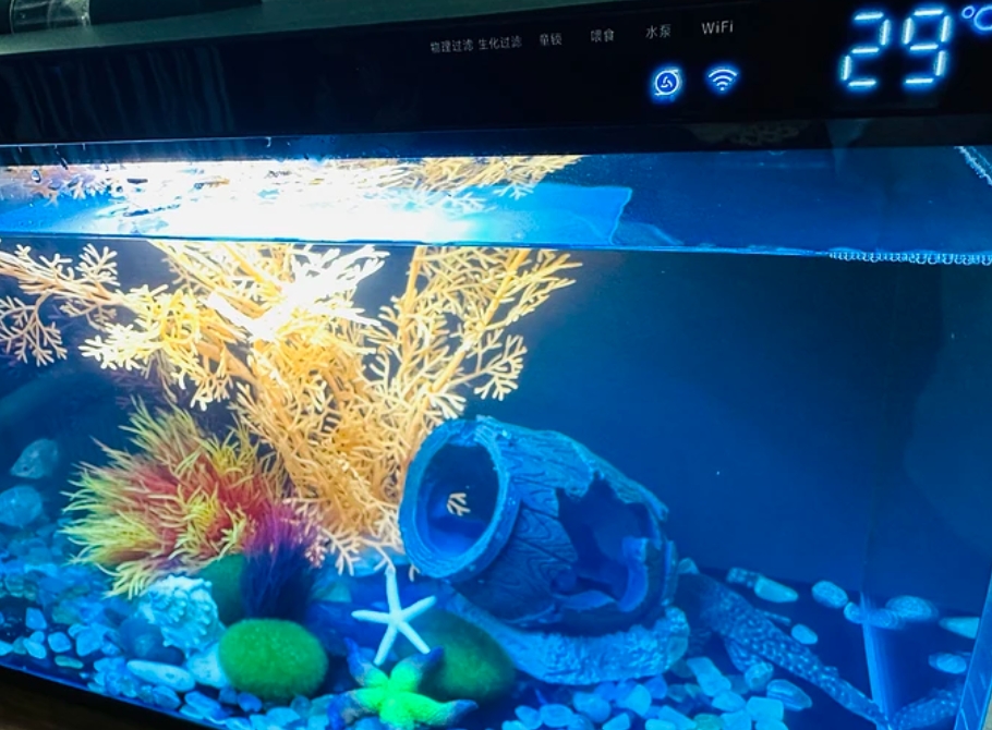 smart fish tank